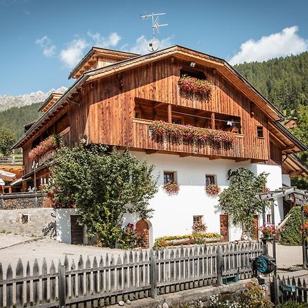 Agriturismo Luech De Vanc San Martino in Badia Eksteriør bilde