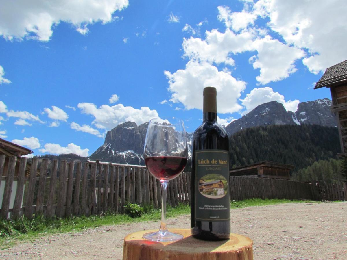Agriturismo Luech De Vanc San Martino in Badia Eksteriør bilde