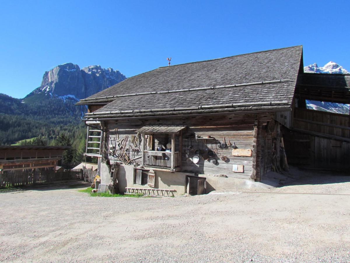 Agriturismo Luech De Vanc San Martino in Badia Eksteriør bilde
